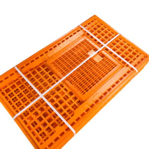 Transport crate(poultry, Eggs and Rabbit) | chicken equipment Kenya