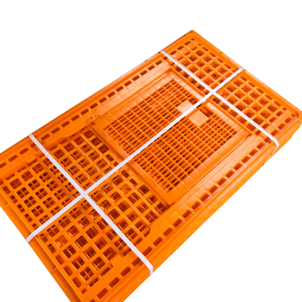 Transport crate(poultry, Eggs and Rabbit) | chicken equipment Kenya
