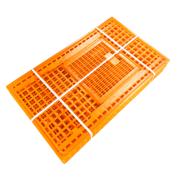 Transport crate(poultry, Eggs and Rabbit) | chicken equipment Kenya 3