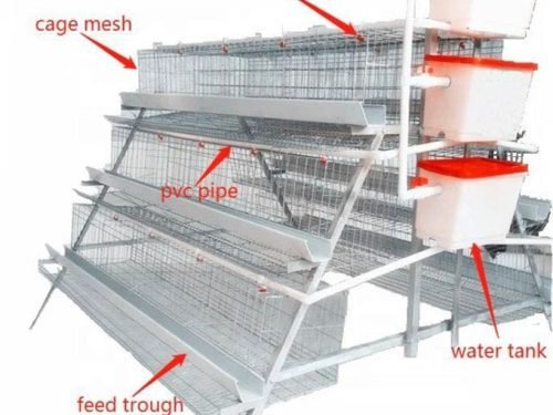 chicken cages in Kenya