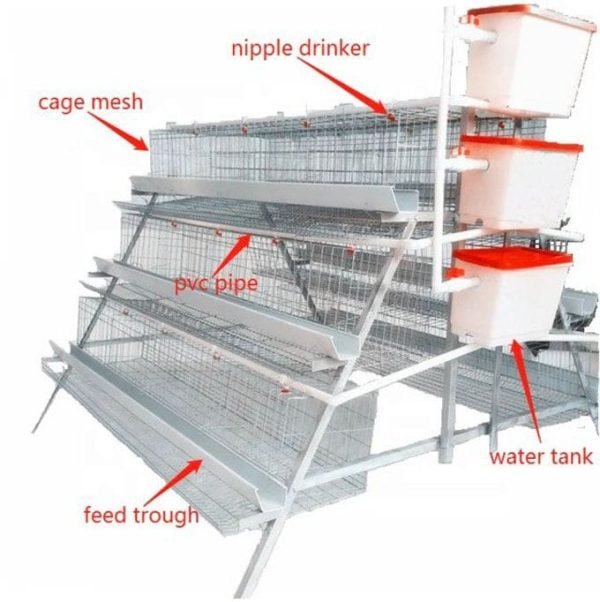 Chicken Cages chicken cages in Kenya