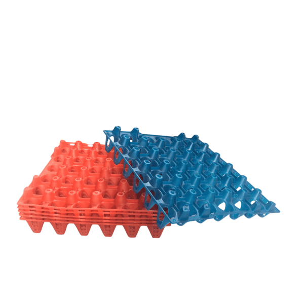 Egg plastic trays