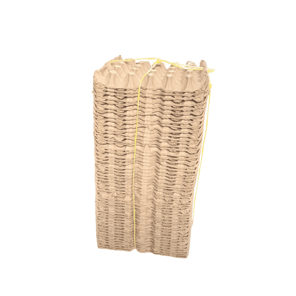 Egg paper trays