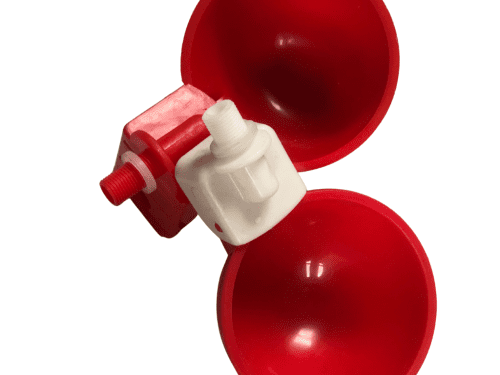 Bowl Drinker Bowl Drinker