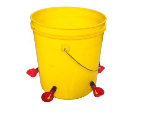 Bucket Drinker Bucket Drinker