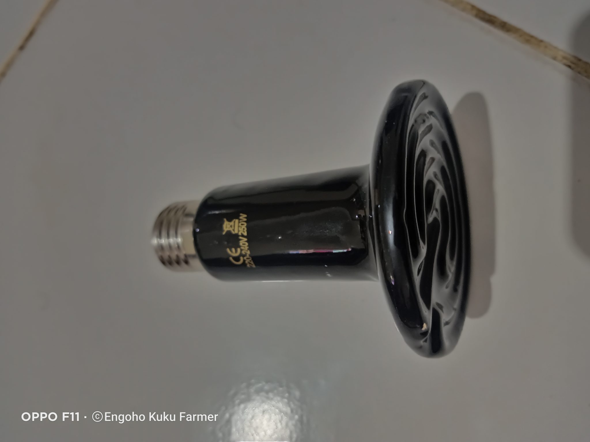 Ceramic Brooding bulb - Kuku.co.ke | Poultry Farming Products & Chicken ...