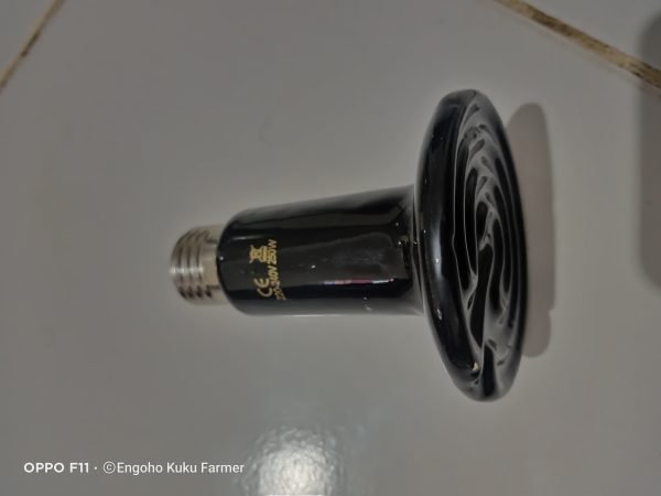 Ceramic brooder bulb