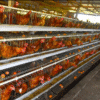 layers chicken cage Chicken Cages - High Quality 128 Hens Capacity, 4 tier, A type Poultry Cage