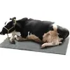 cow mattress cattle bedding