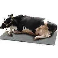 cow mattress cattle bedding
