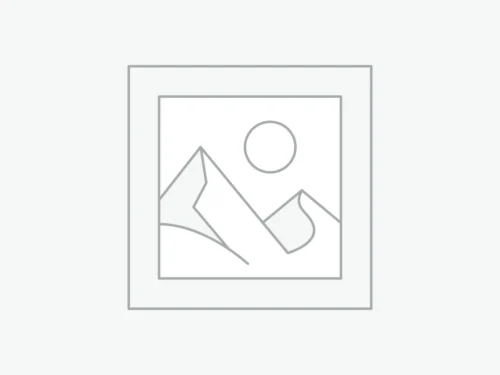 woocommerce-placeholder Automatic 300 Eggs INCUBATOR.Hatch rate: 98% Warranty. Solar/Battery/Electricity